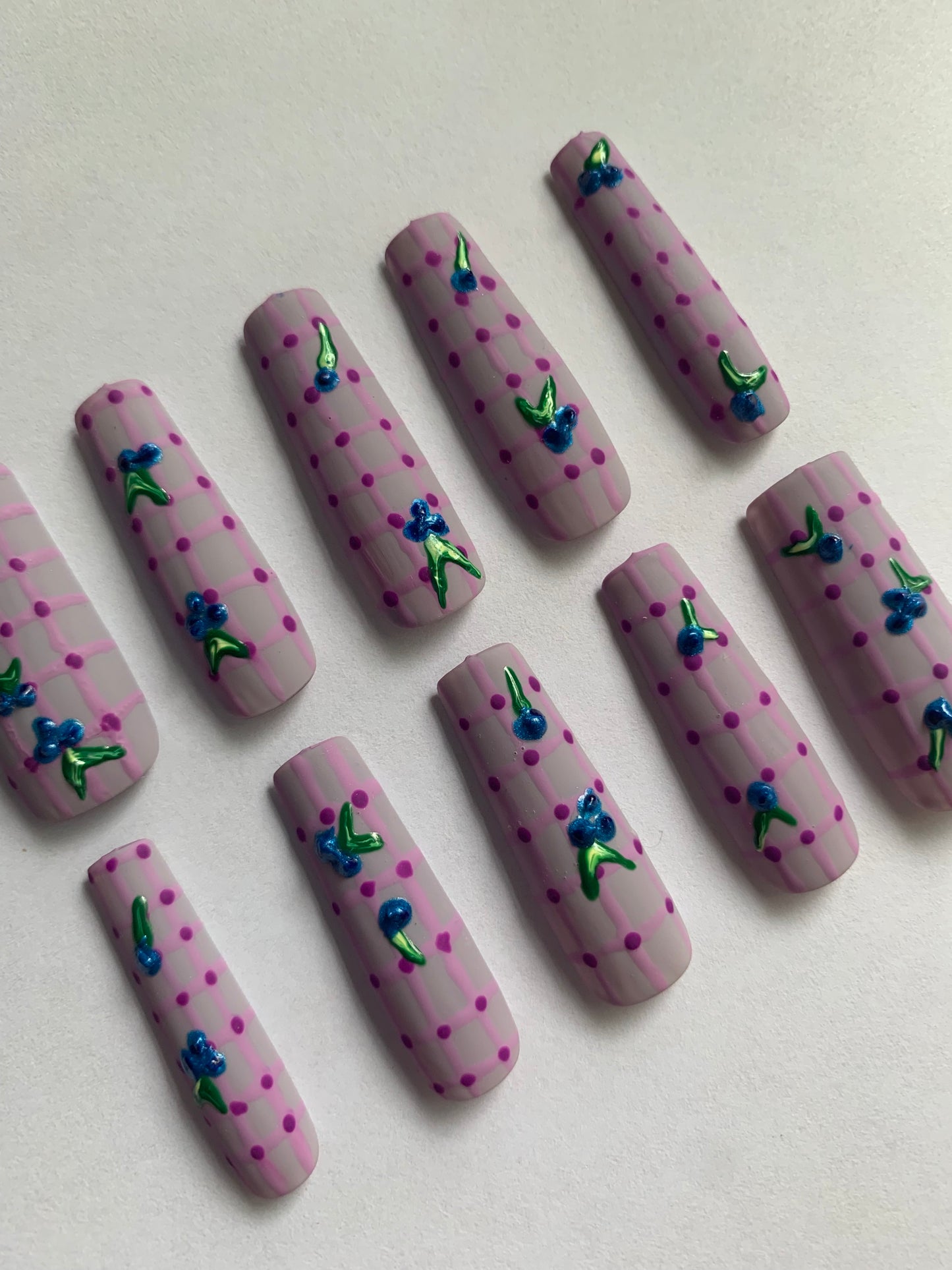 Blueberry picnic hand painted reusable nail set