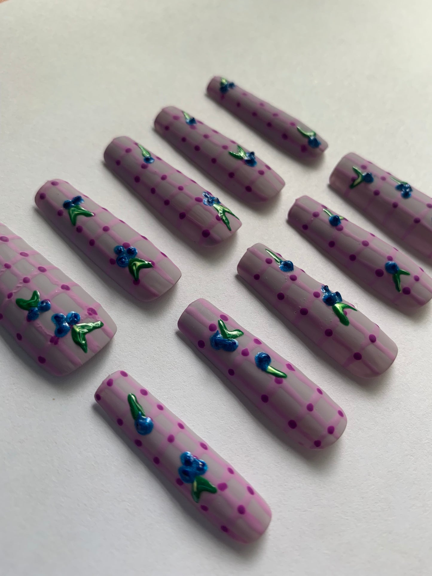 Blueberry picnic hand painted reusable nail set