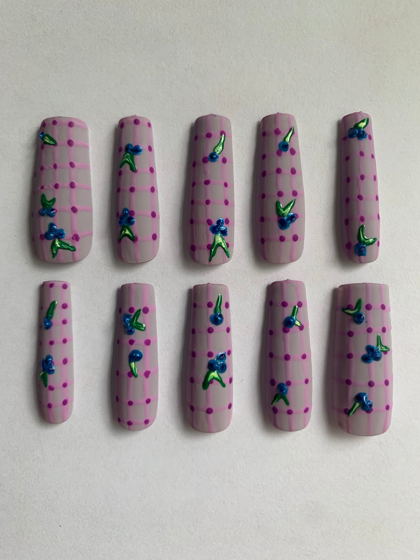 Blueberry picnic hand painted reusable nail set