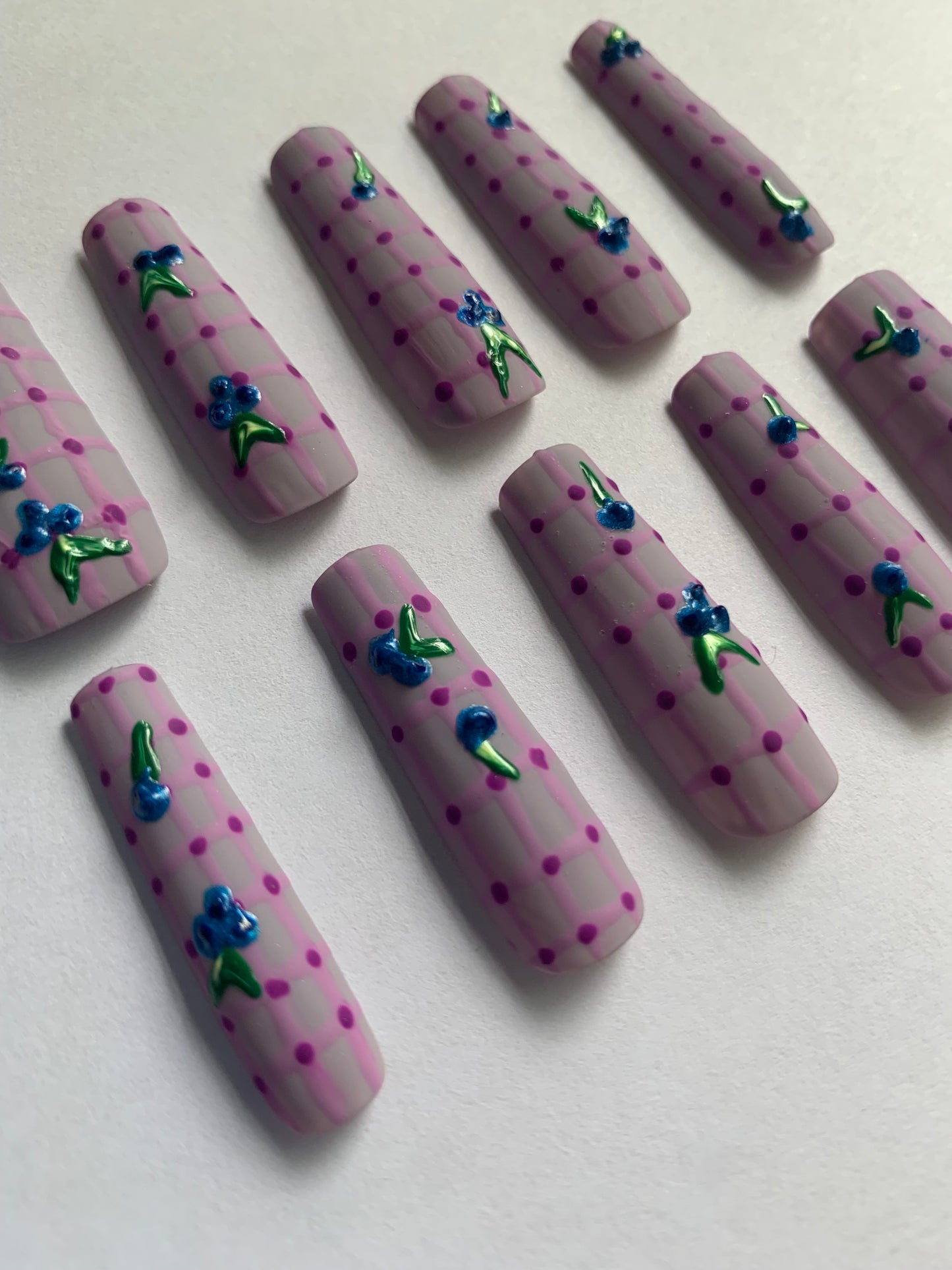 Blueberry picnic hand painted reusable nail set