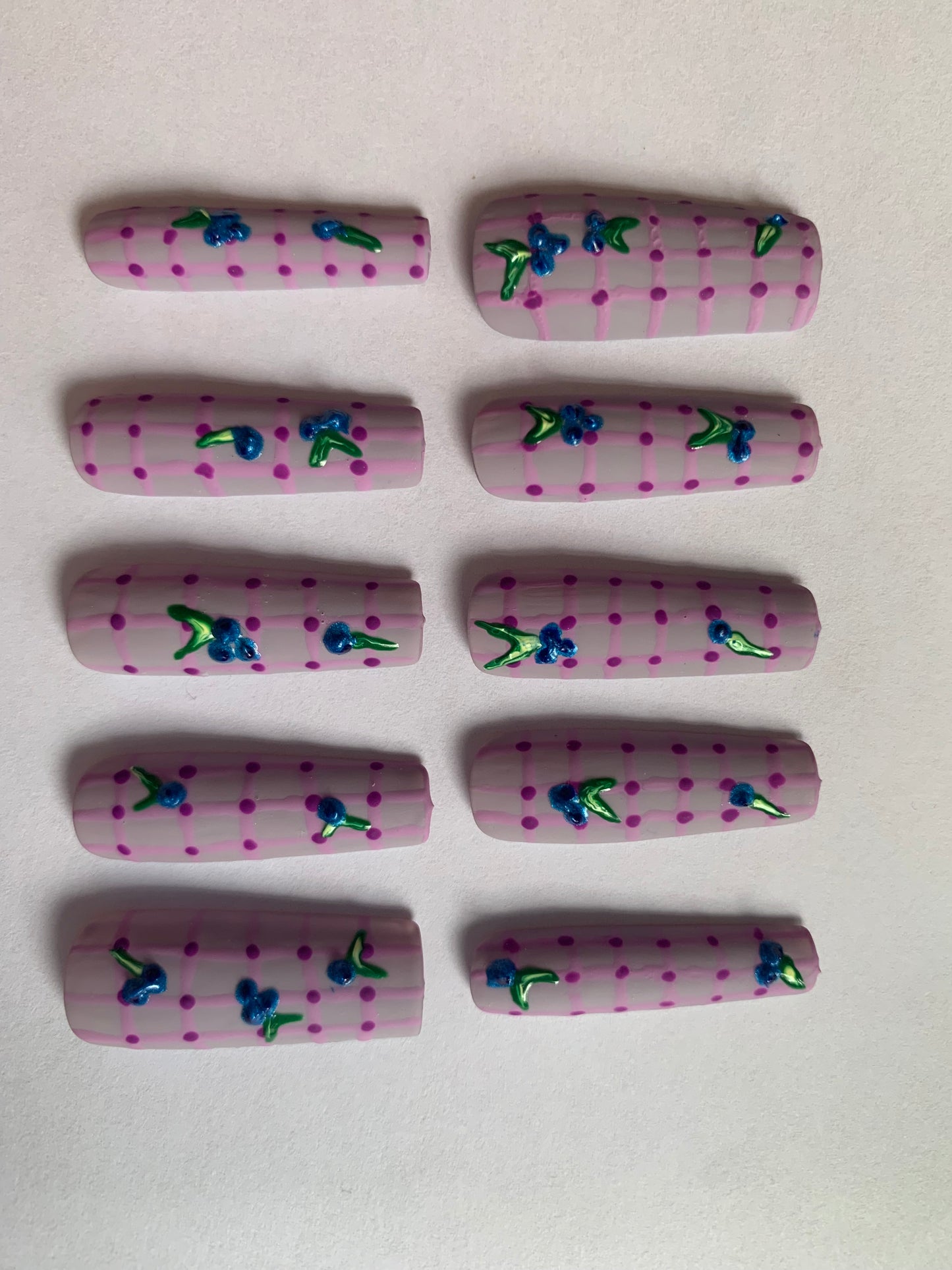 Blueberry picnic hand painted reusable nail set
