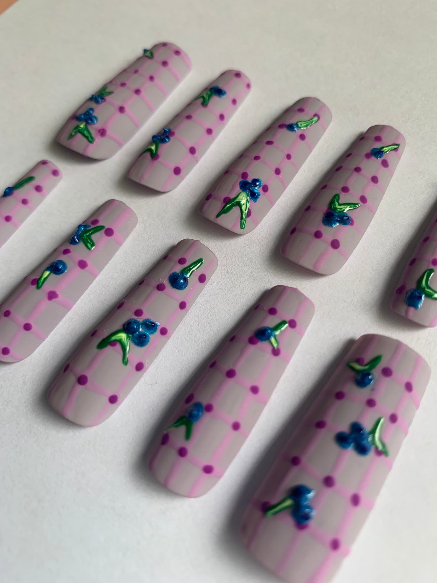 Blueberry picnic hand painted reusable nail set