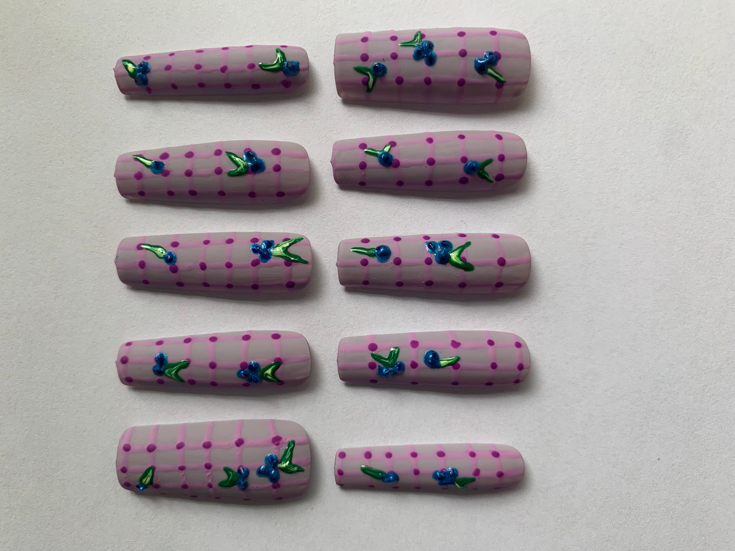 Blueberry picnic hand painted reusable nail set